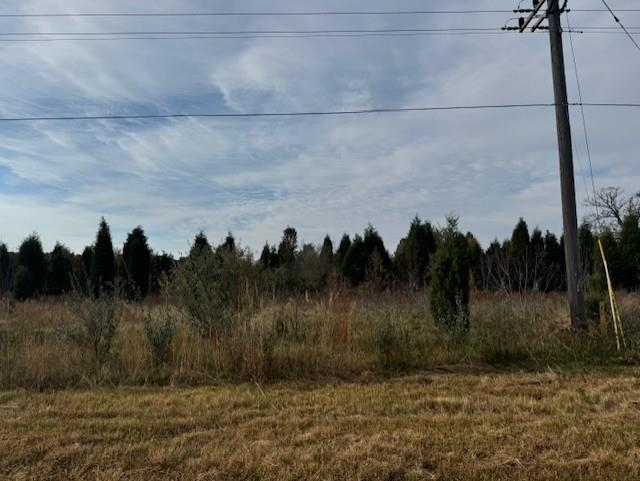 0 Shady Lane High Hill, MO 63350 - Photo 1 of 1