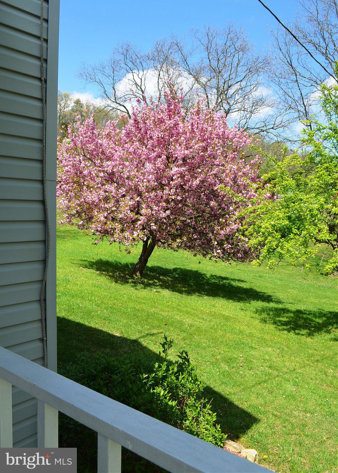 1014 Henry O Michael Road Berkeley Springs, WV 25411 - Photo 11 of 81