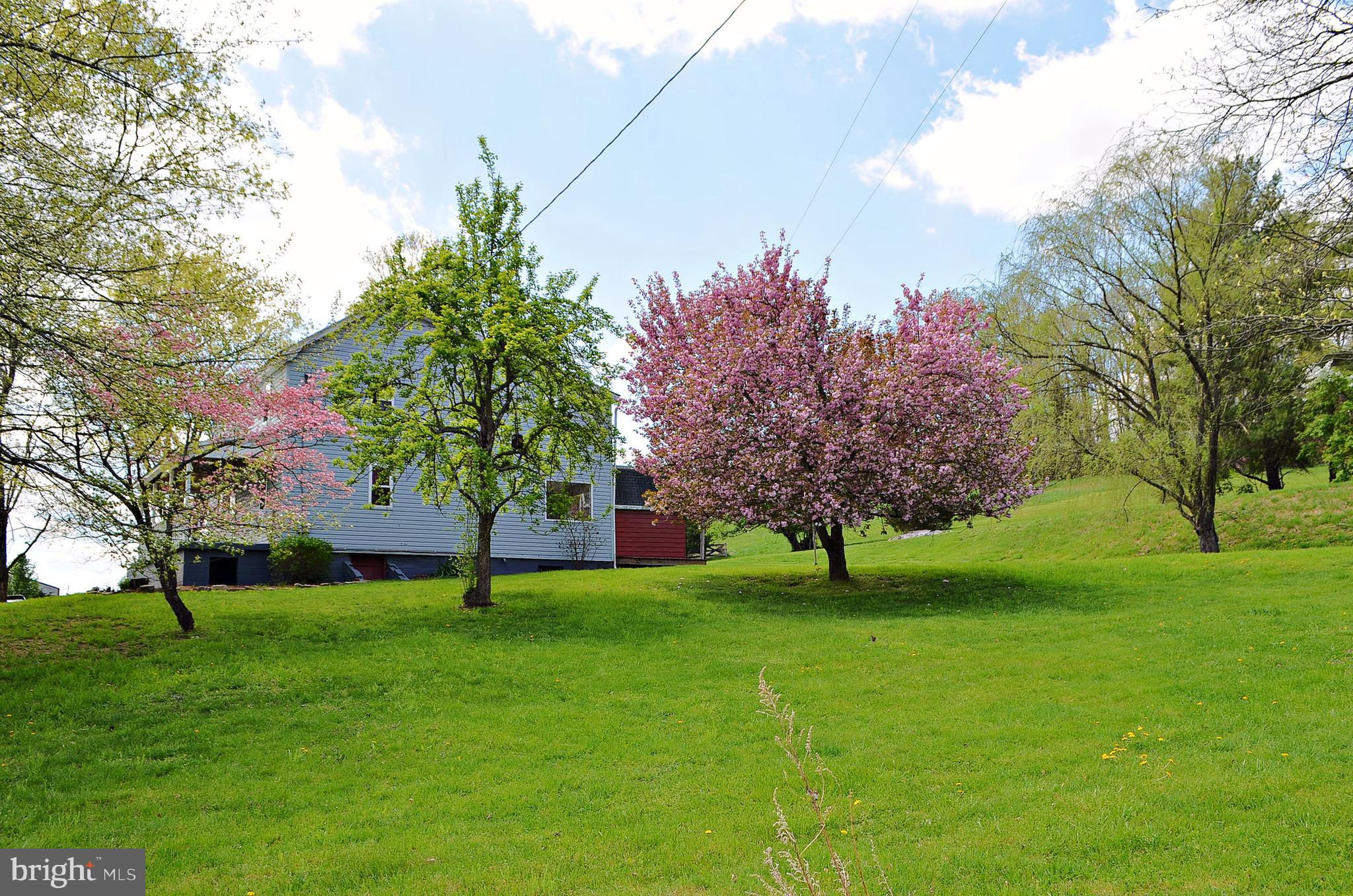 1014 Henry O Michael Road Berkeley Springs, WV 25411 - Photo 15 of 81