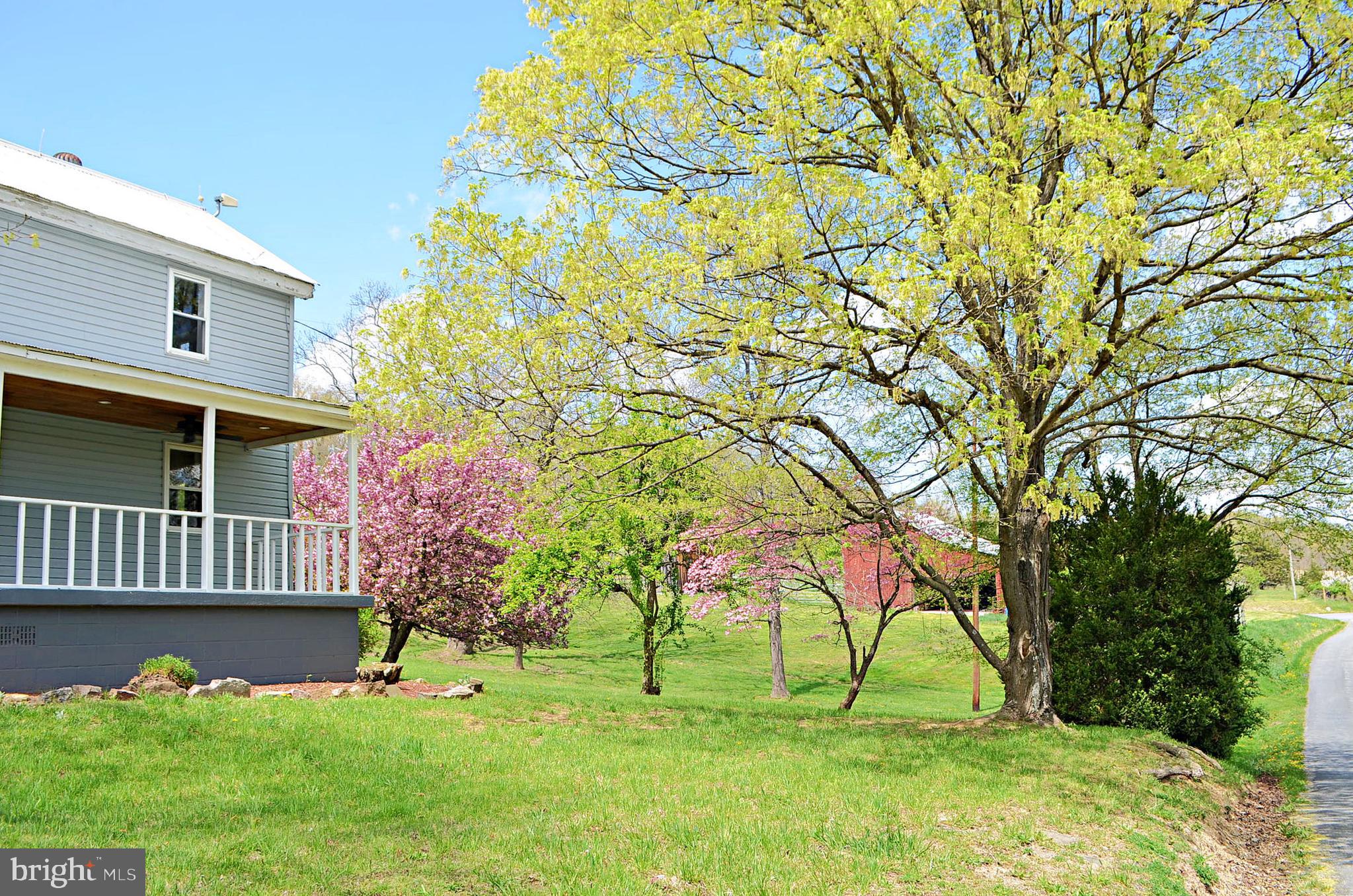 1014 Henry O Michael Road Berkeley Springs, WV 25411 - Photo 7 of 81