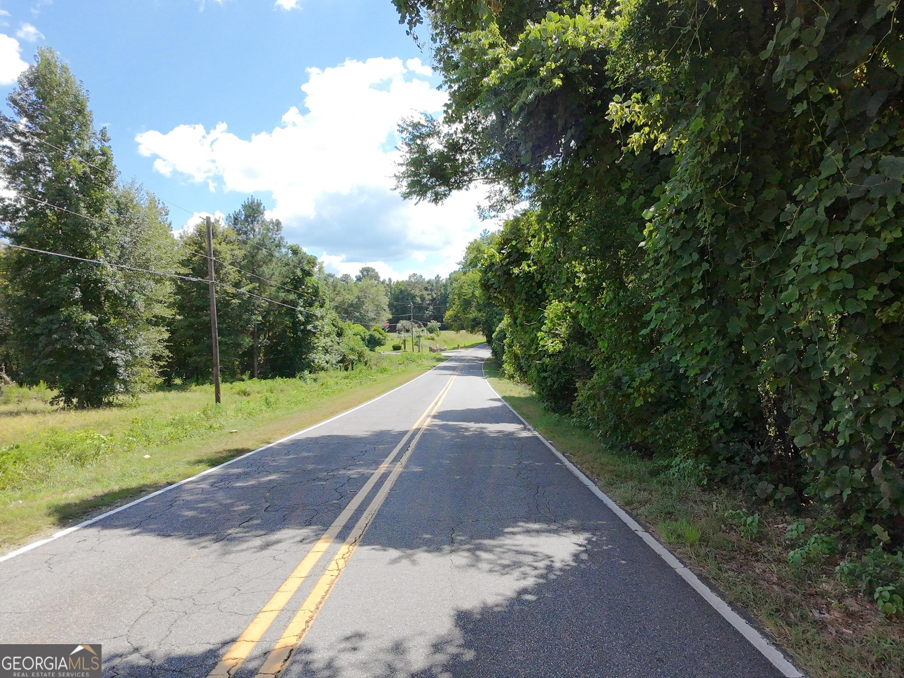 0 Knoxville Road Lizella, GA 31052 - Photo 3 of 10 a view of a yard with a pathway
