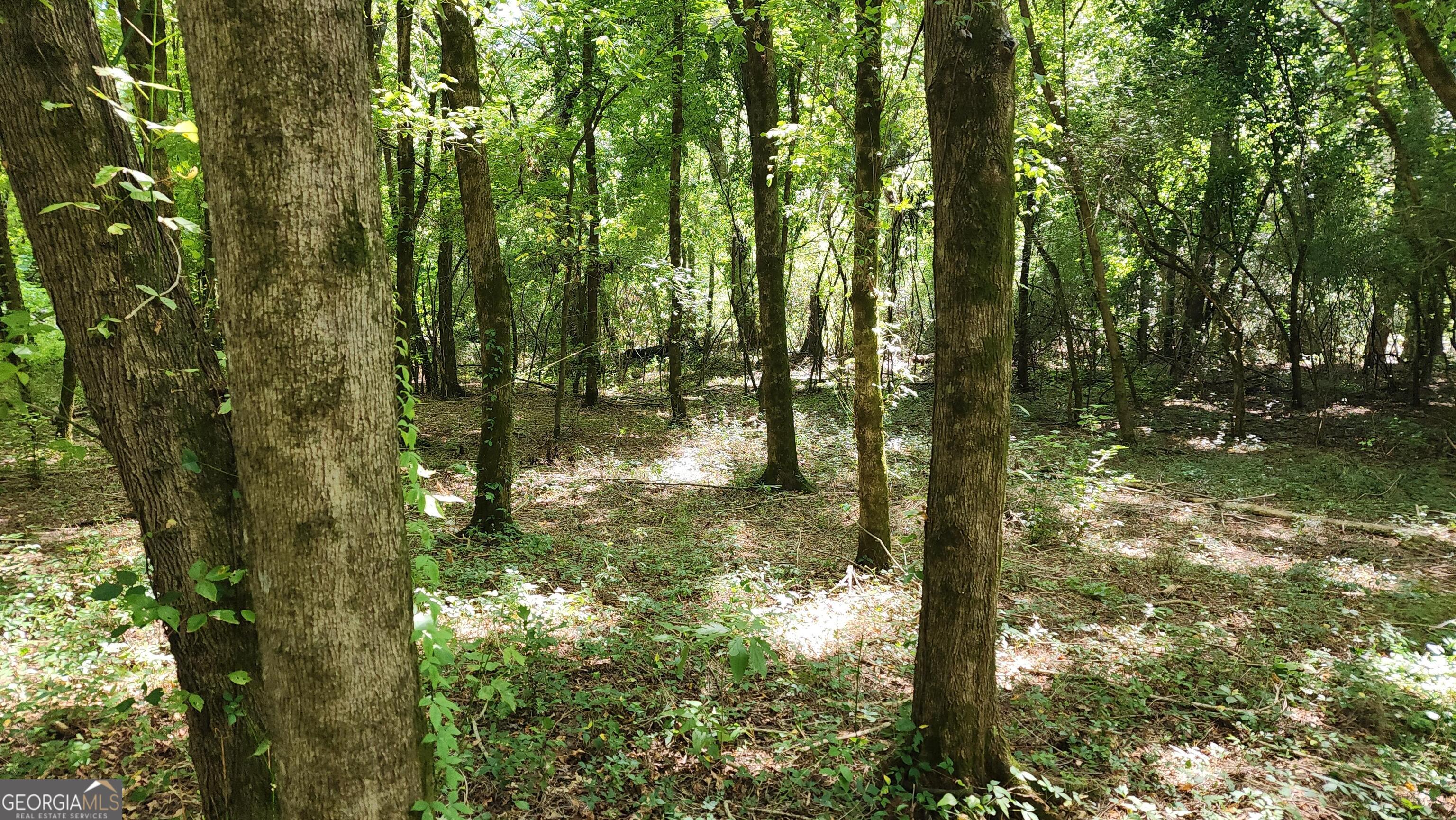 0 Knoxville Road Lizella, GA 31052 - Photo 5 of 10 a view of forest