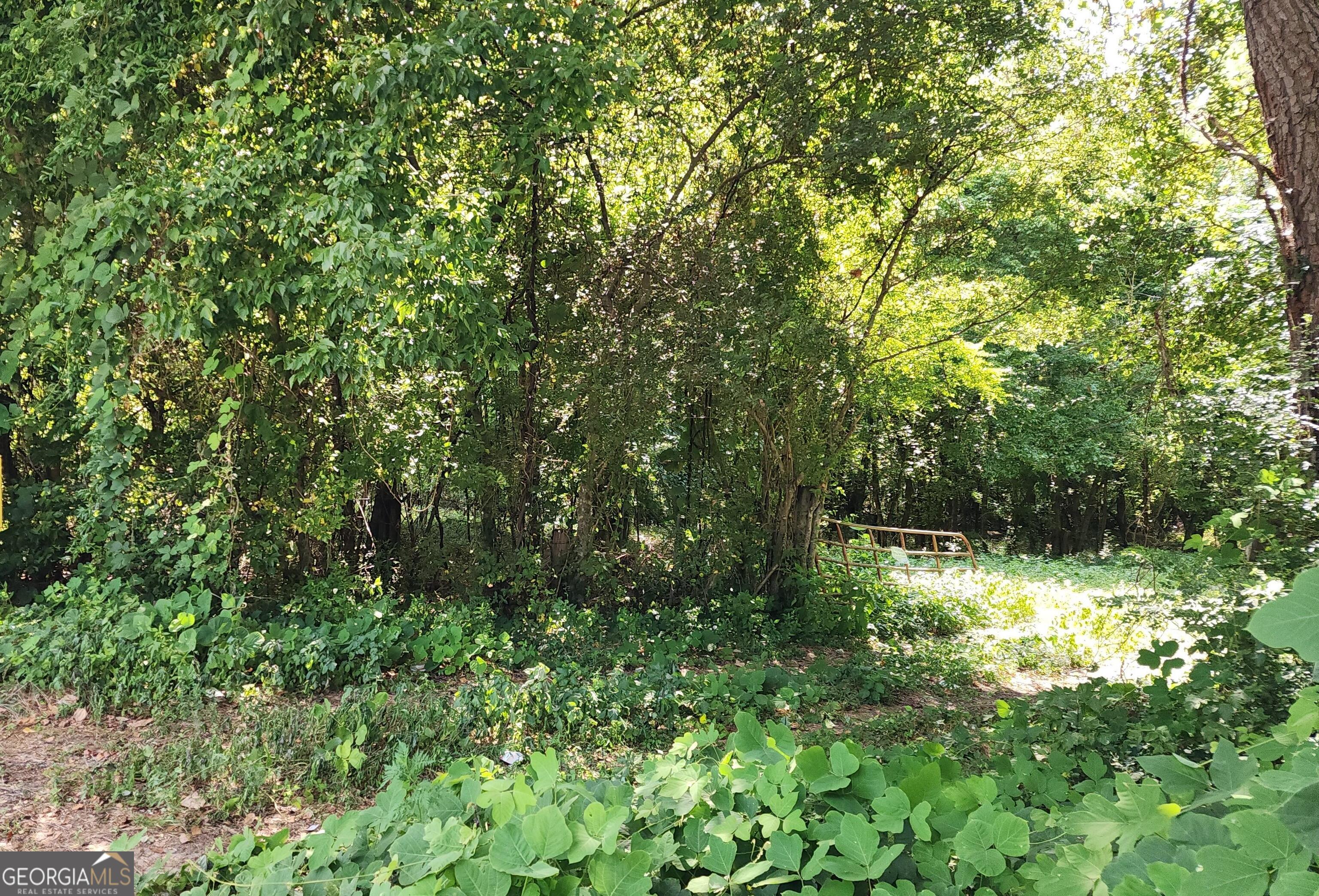 0 Knoxville Road Lizella, GA 31052 - Photo 6 of 10 a view of a forest with a tree