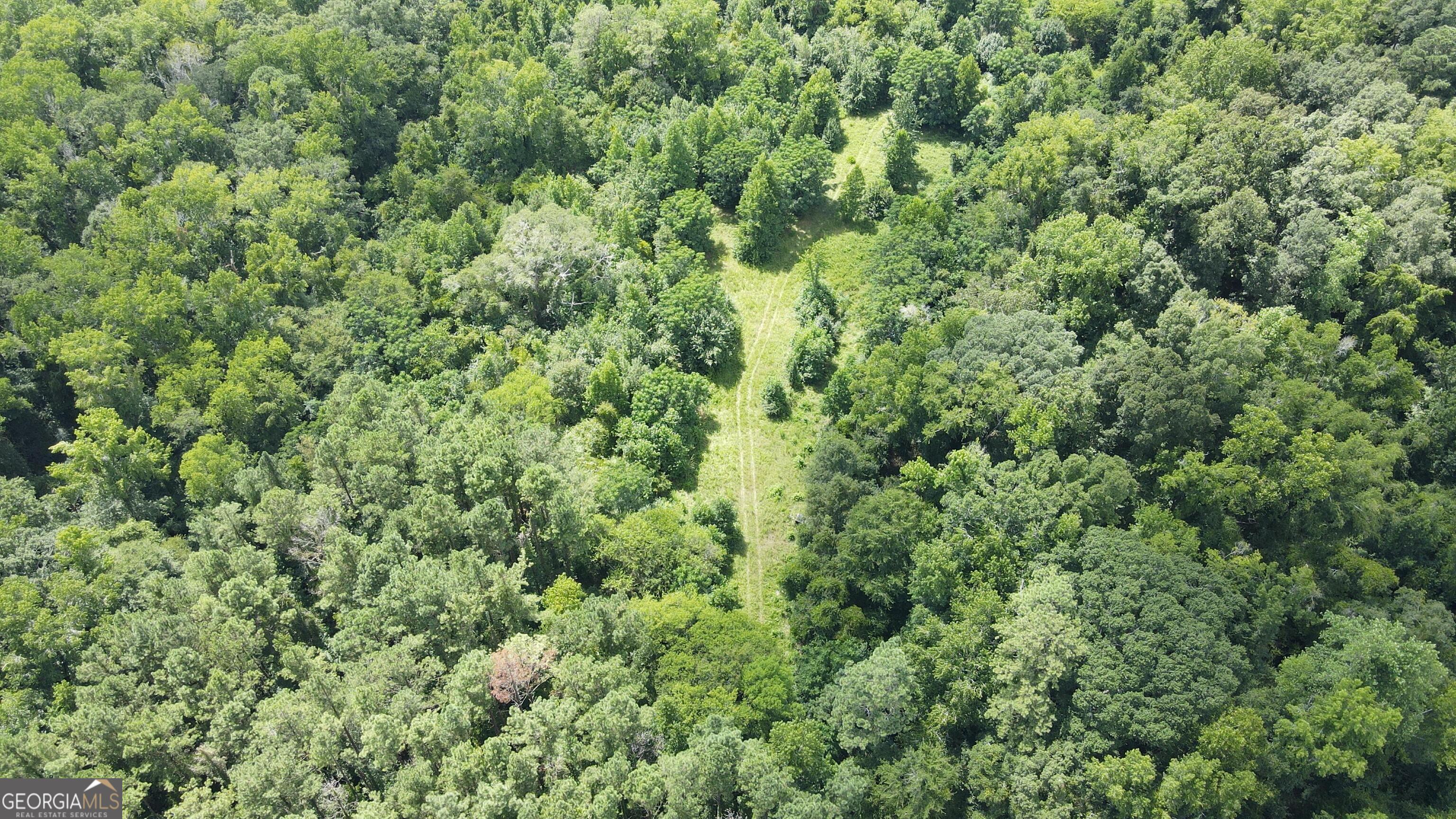0 Knoxville Road Lizella, GA 31052 - Photo 7 of 10 an outdoor view of a house with a tree
