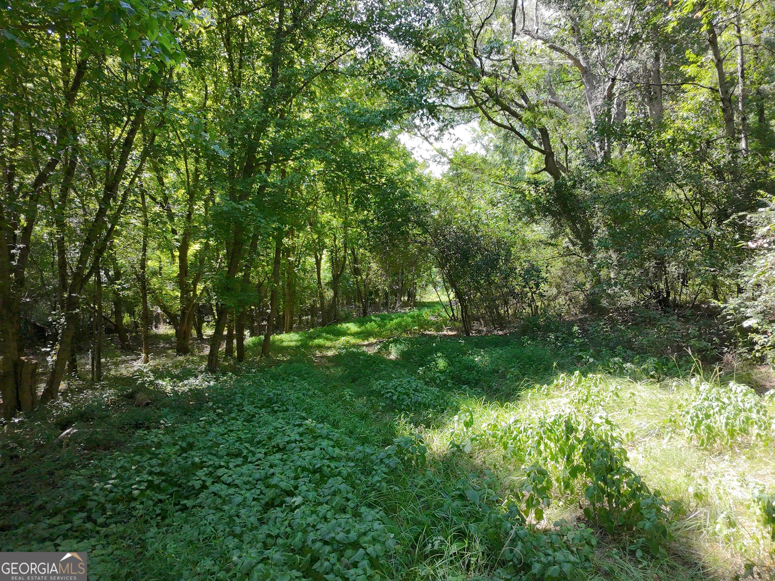 0 Knoxville Road Lizella, GA 31052 - Photo 9 of 10 a view of yard with green space