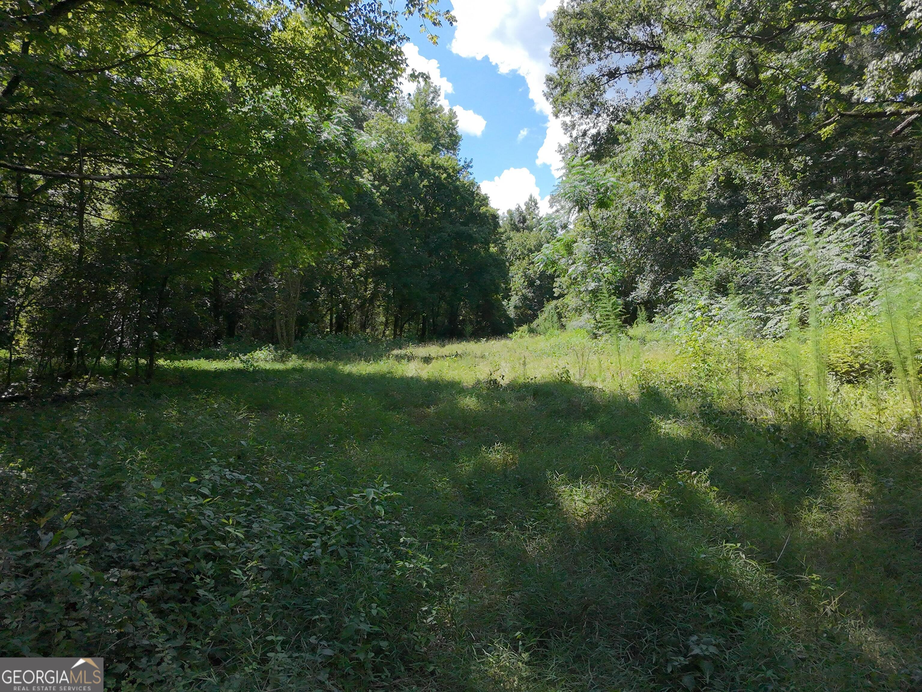 0 Knoxville Road Lizella, GA 31052 - Photo 10 of 10 a view of outdoor space and yard