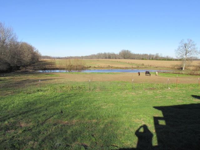 1660 Goforth Road Morrison, TN 37357 - Photo 7 of 11 a view of an ocean from a balcony