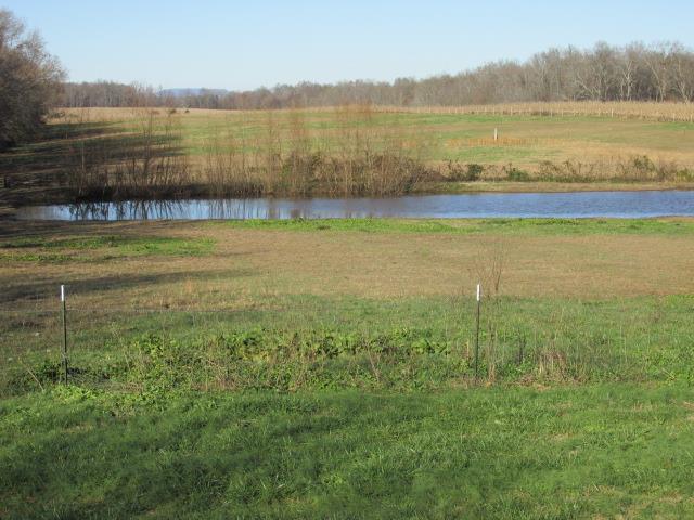 1660 Goforth Road Morrison, TN 37357 - Photo 8 of 11 a view of a lake with a mountain