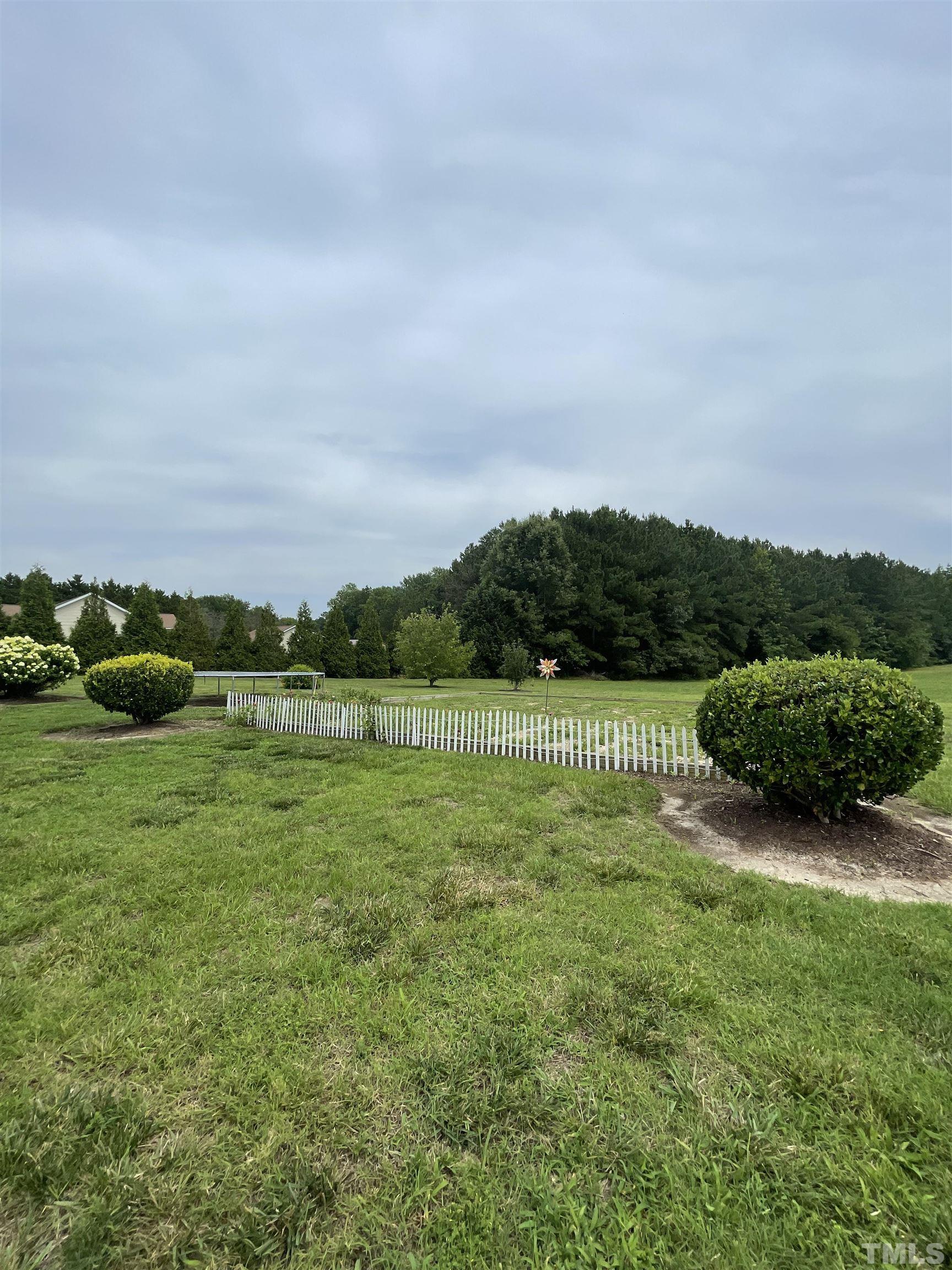 6228 Mitchell Mill Road Zebulon, NC 27597 - Photo 48 of 51 a view of a golf course with a lake