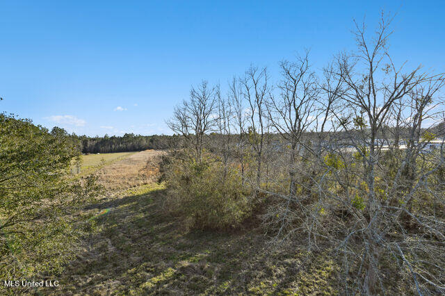 17419 Orange Grove Road Gulfport, MS 39503 - Photo 21 of 21 Yard
