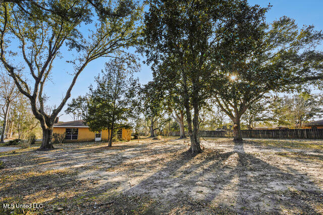 Front Yard