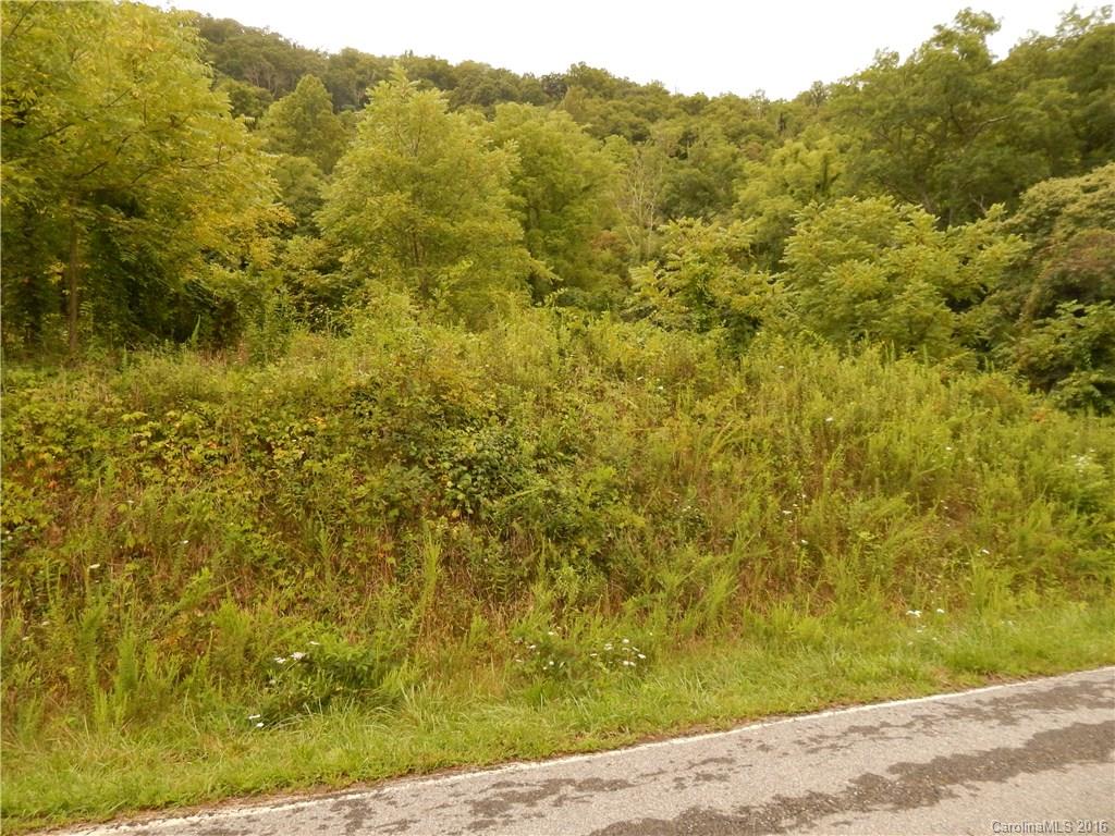 0 Glade Road Clyde, NC 28721 - Photo 2 of 19 a view of a yard with an trees