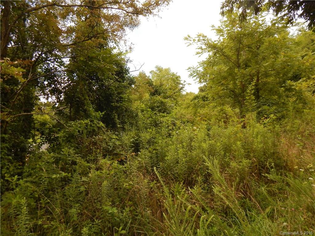 0 Glade Road Clyde, NC 28721 - Photo 11 of 19 a view of a large yard with lots of bushes