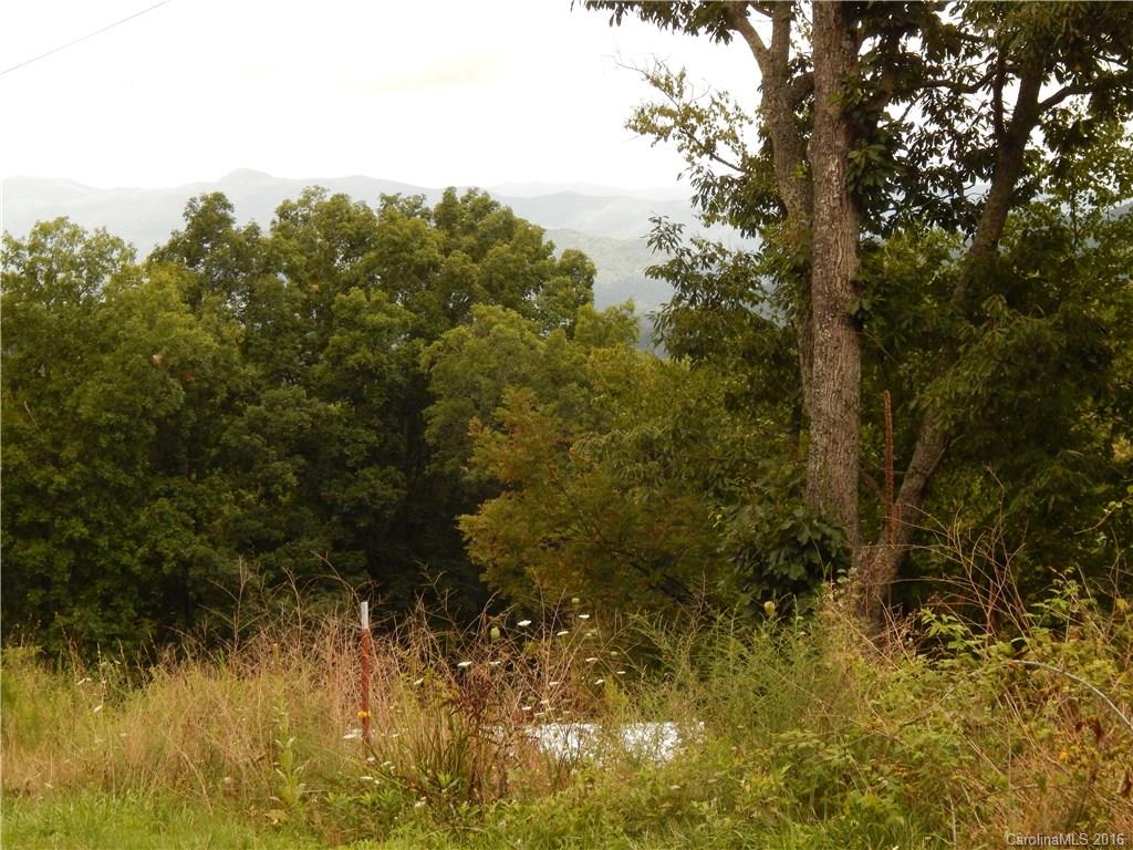 0 Glade Road Clyde, NC 28721 - Photo 15 of 19 a view of a yard