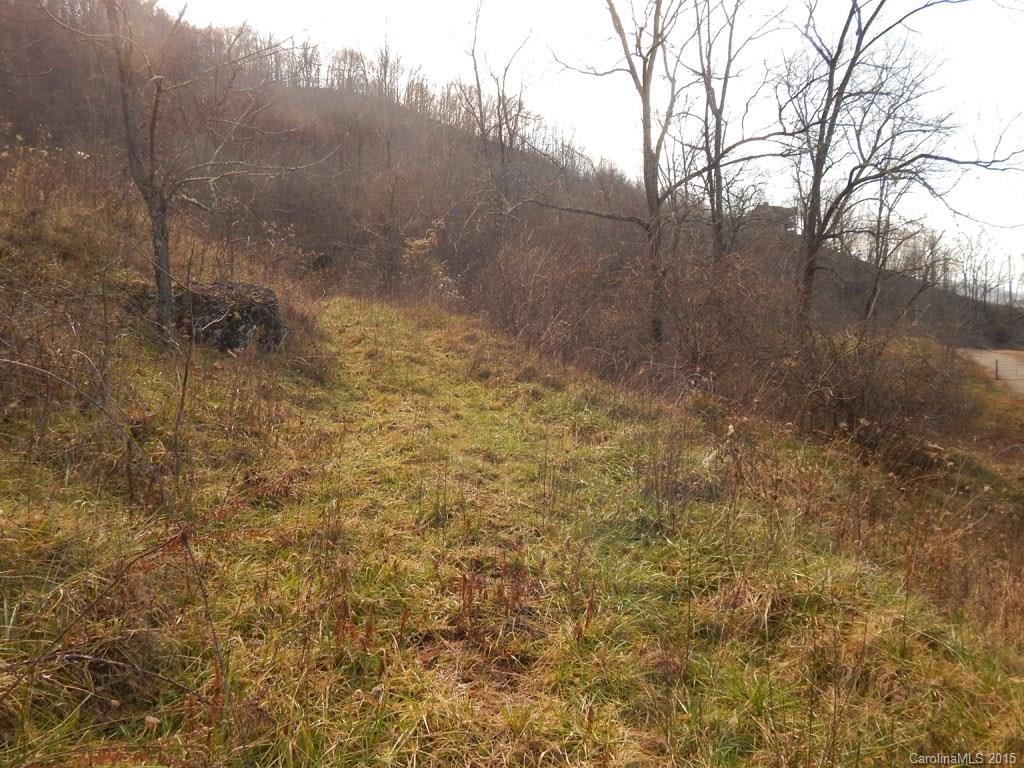 0 Glade Road Clyde, NC 28721 - Photo 16 of 19 a view of a yard