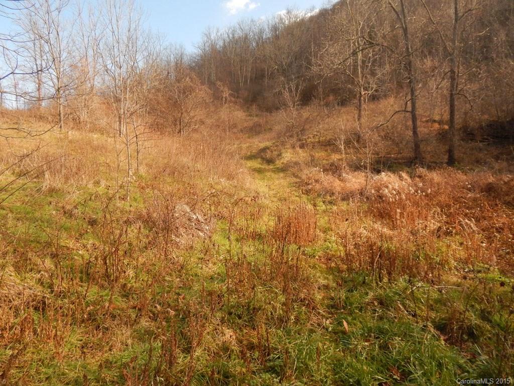 0 Glade Road Clyde, NC 28721 - Photo 17 of 19 a view of a yard