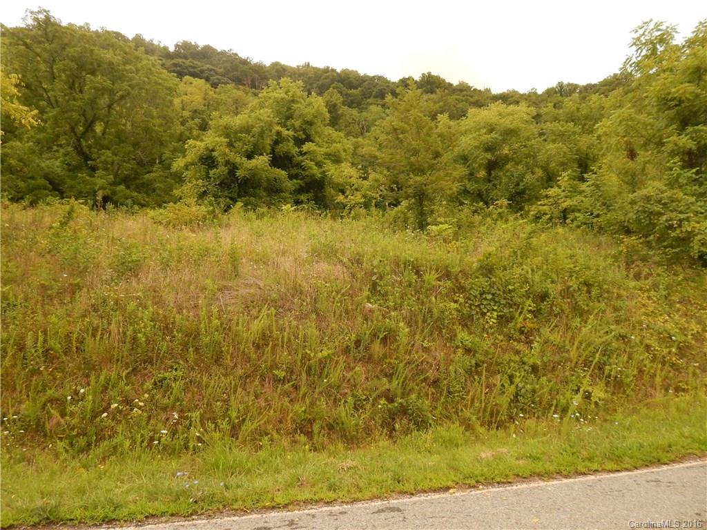 0 Glade Road Clyde, NC 28721 - Photo 3 of 19 a view of a yard