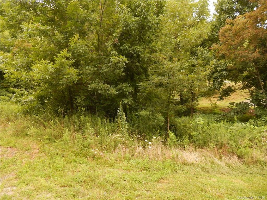 0 Glade Road Clyde, NC 28721 - Photo 10 of 19 a view of a yard