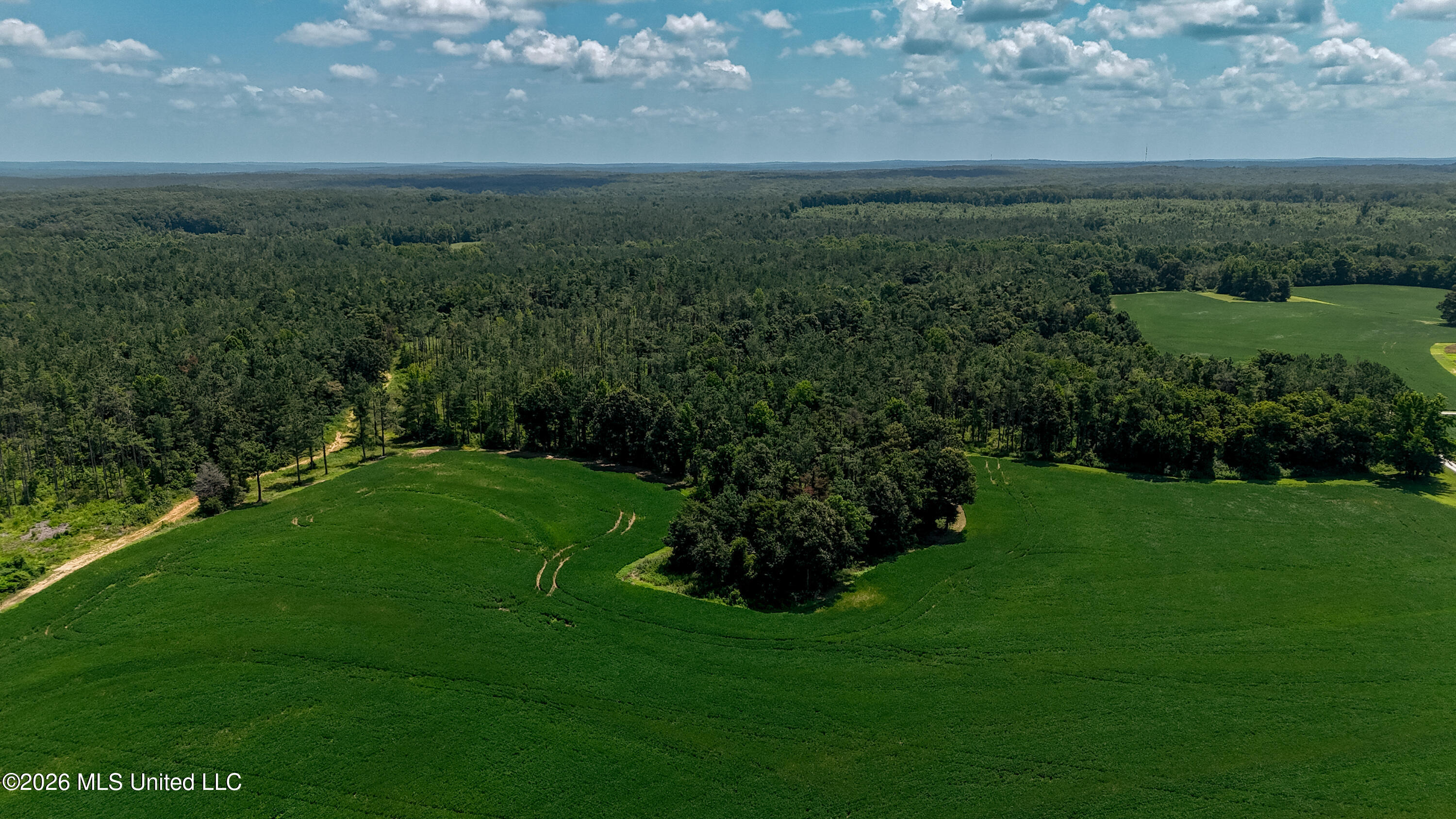 828 Little Egypt Road Ashland, MS 38603 - Photo 57 of 101 DJI_20260630115601_0323_D