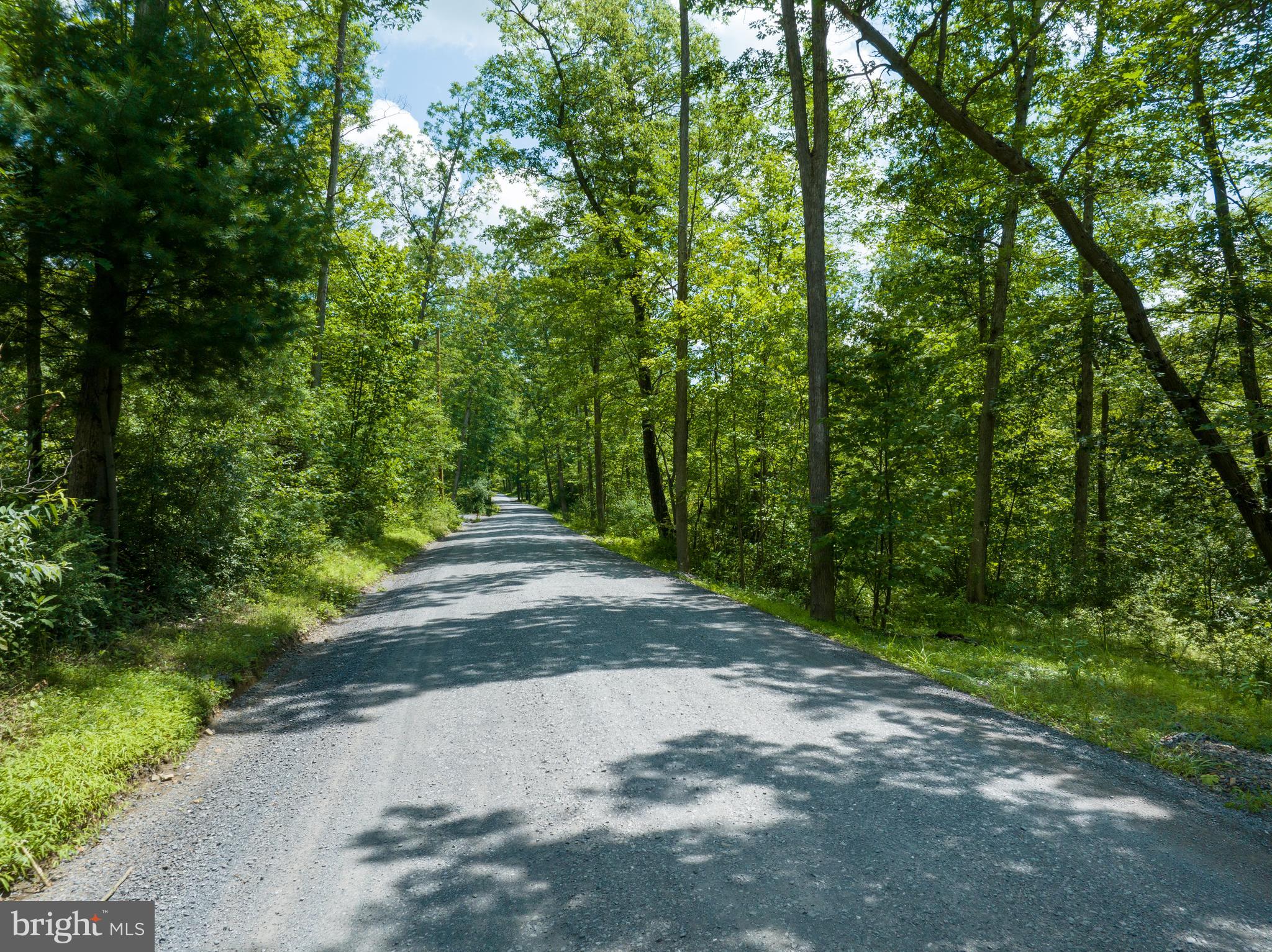 Lot 14-on Decker Valley Road Spring Mills, PA 16875 - Photo 1 of 8 a view of street view with a trees