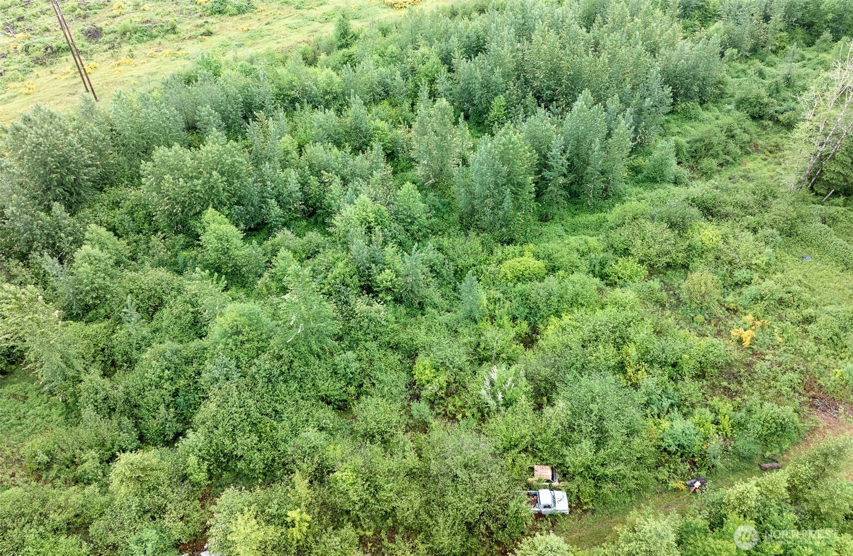 12155 Lewis River Road Ariel, WA 98603 - Photo 18 of 23 Gallery Image 18