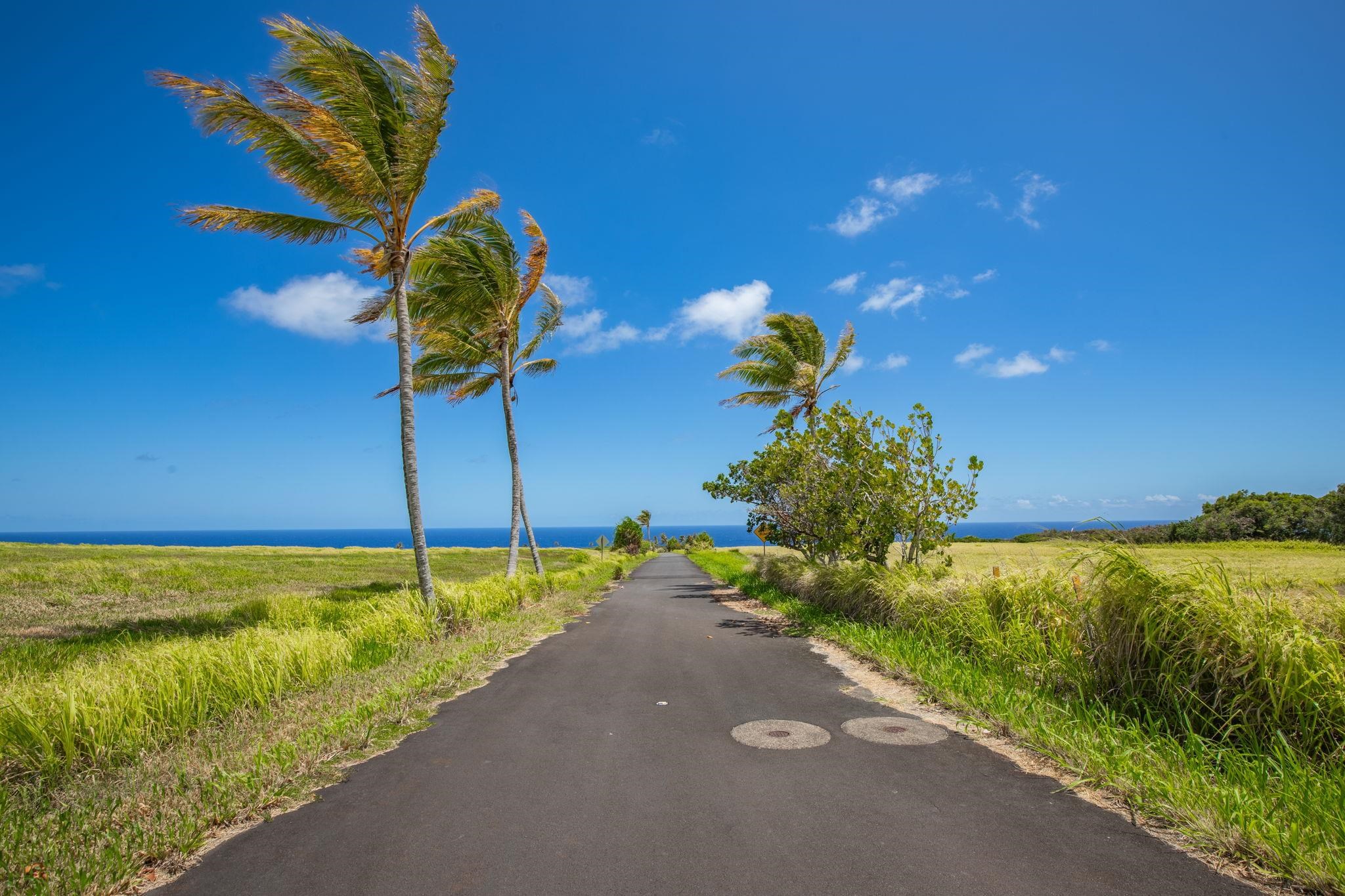 580 Kai Huki Circle, Unit B Haiku, HI 96708 - Photo 4 of 7 a view of a lake from a balcony