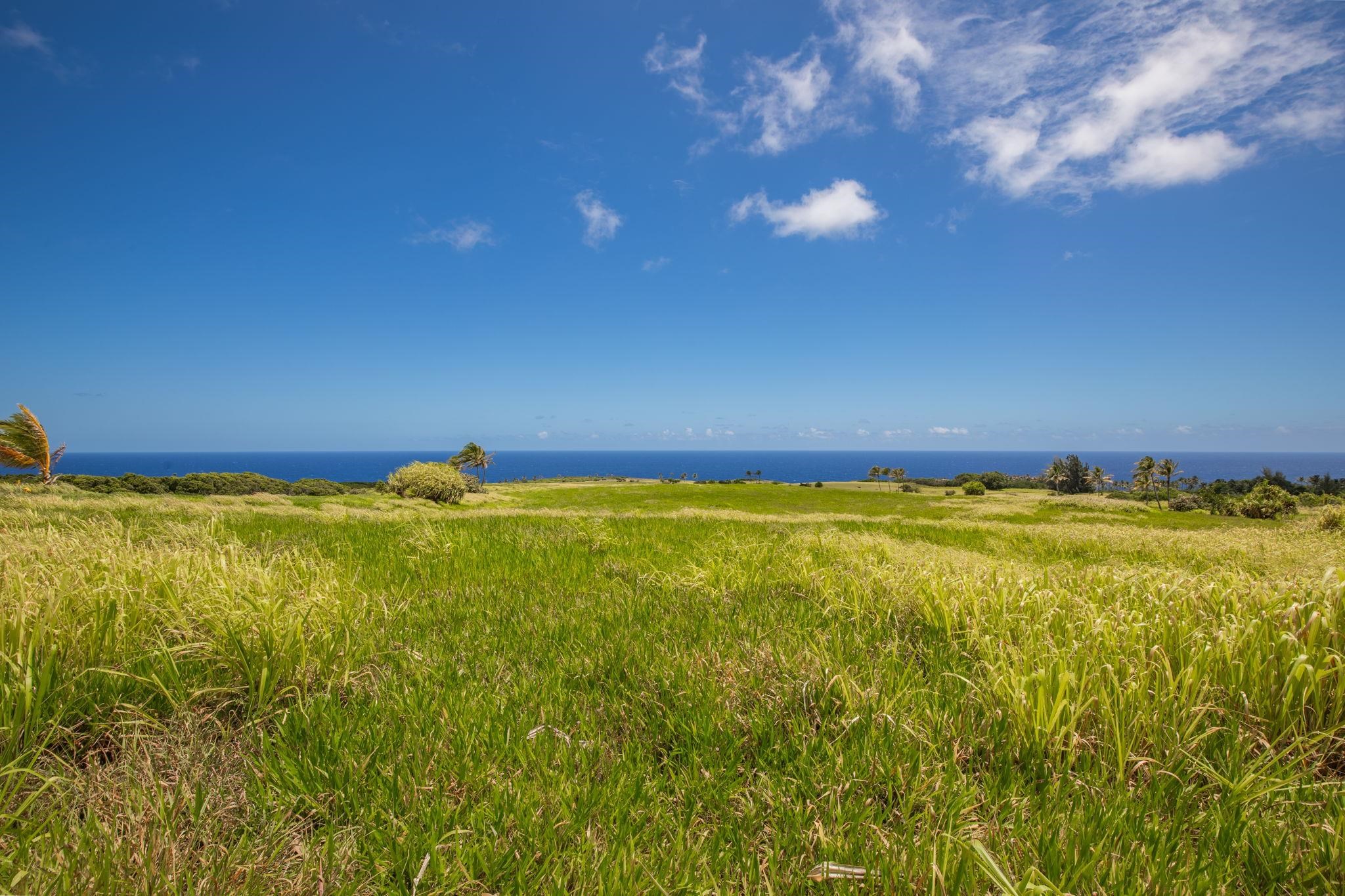 580 Kai Huki Circle, Unit B Haiku, HI 96708 - Photo 6 of 8 a view of an ocean from a yard