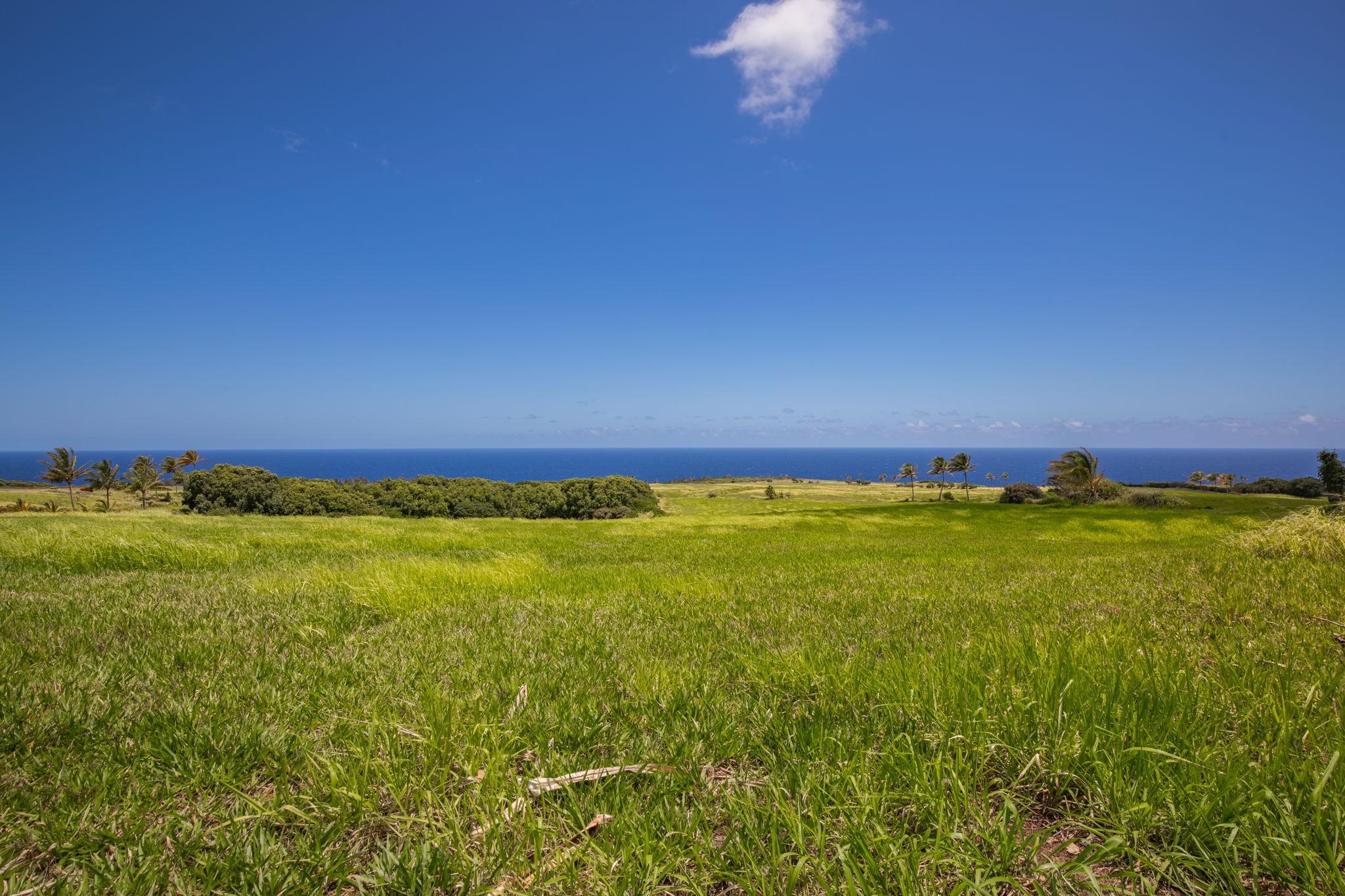 580 Kai Huki Circle, Unit B Haiku, HI 96708 - Photo 6 of 7 a view of an ocean