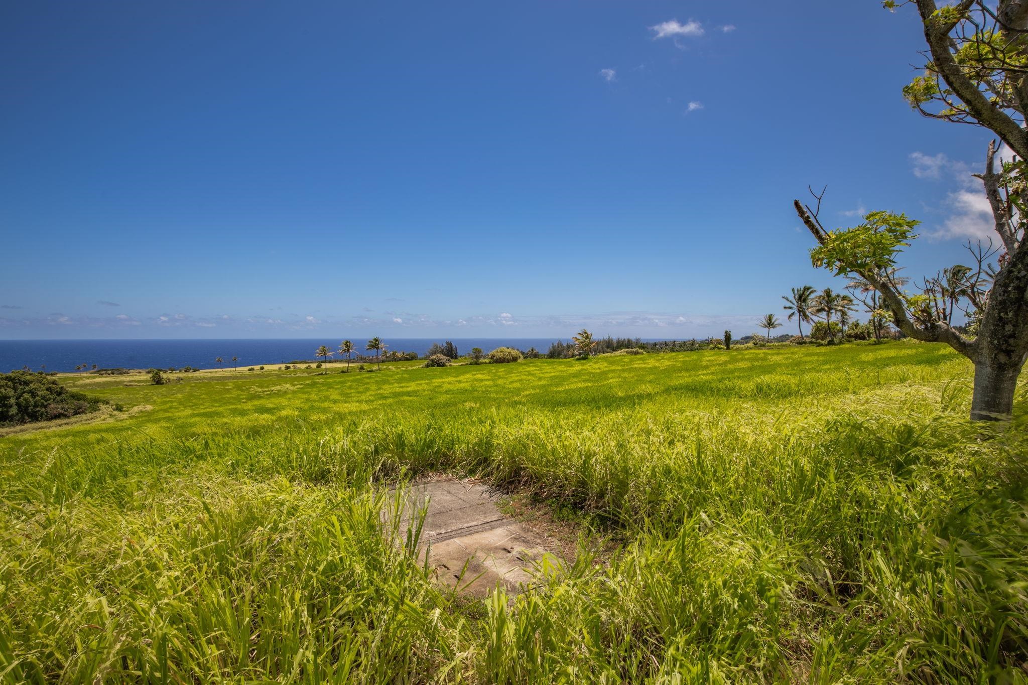 580 Kai Huki Circle, Unit B Haiku, HI 96708 - Photo 8 of 8 a view of an ocean from a yard