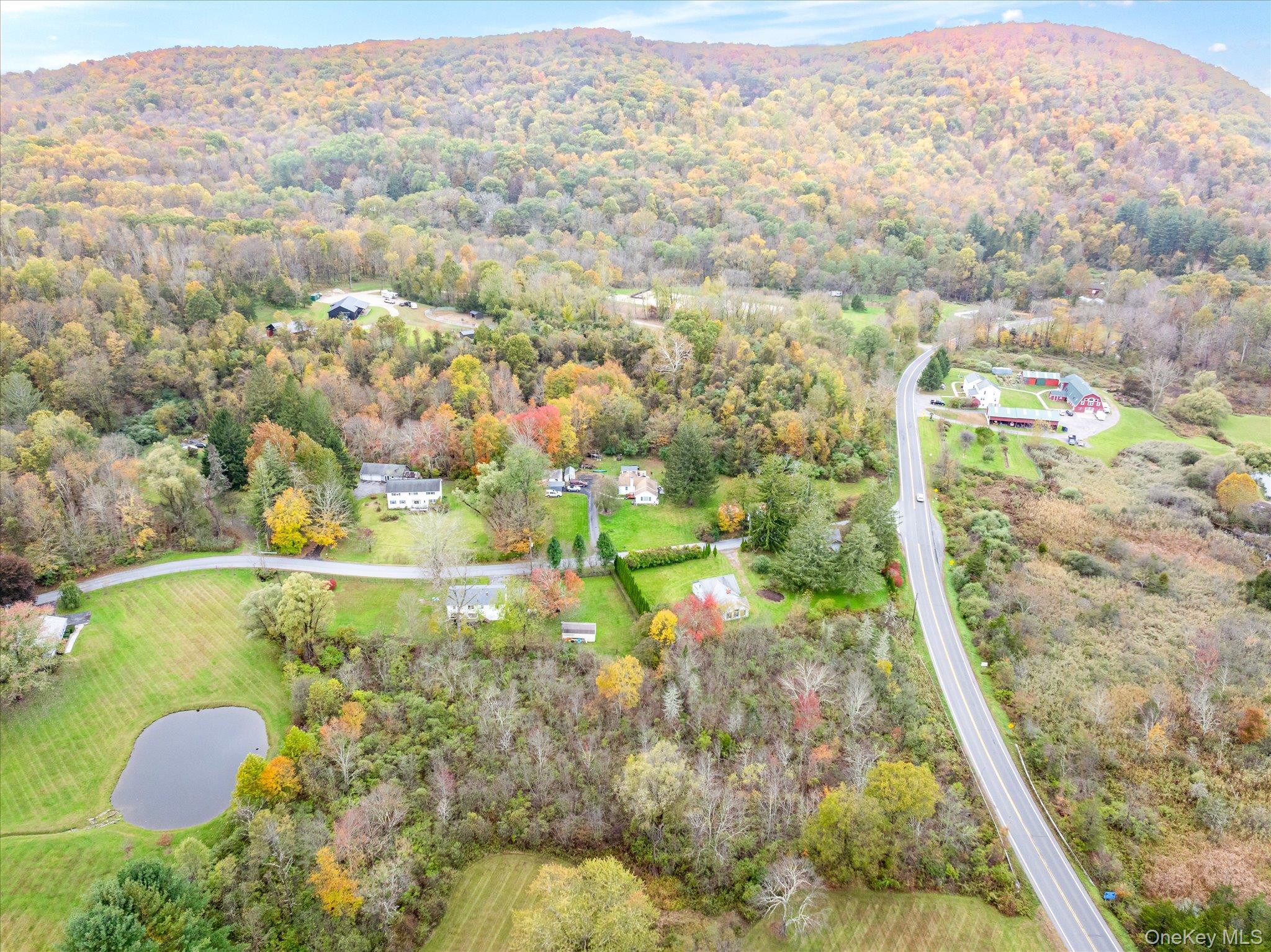 1 Hoyt Road Wingdale, NY 12594 - Photo 38 of 44 To the east, forest and horizon stretch into forever.