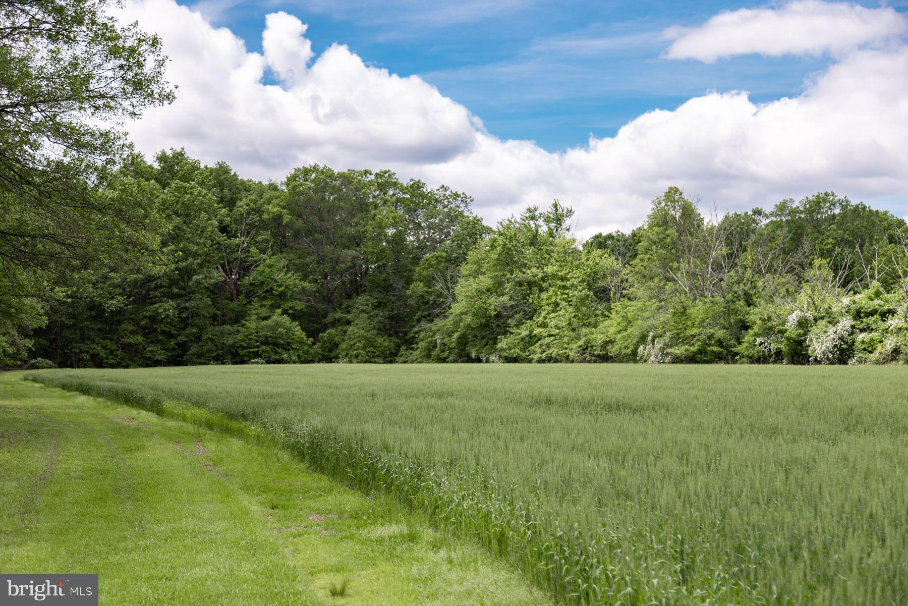 108 Smith School Road Perkasie, PA 18944 - Photo 8 of 12 a view of a big yard with lots of green space