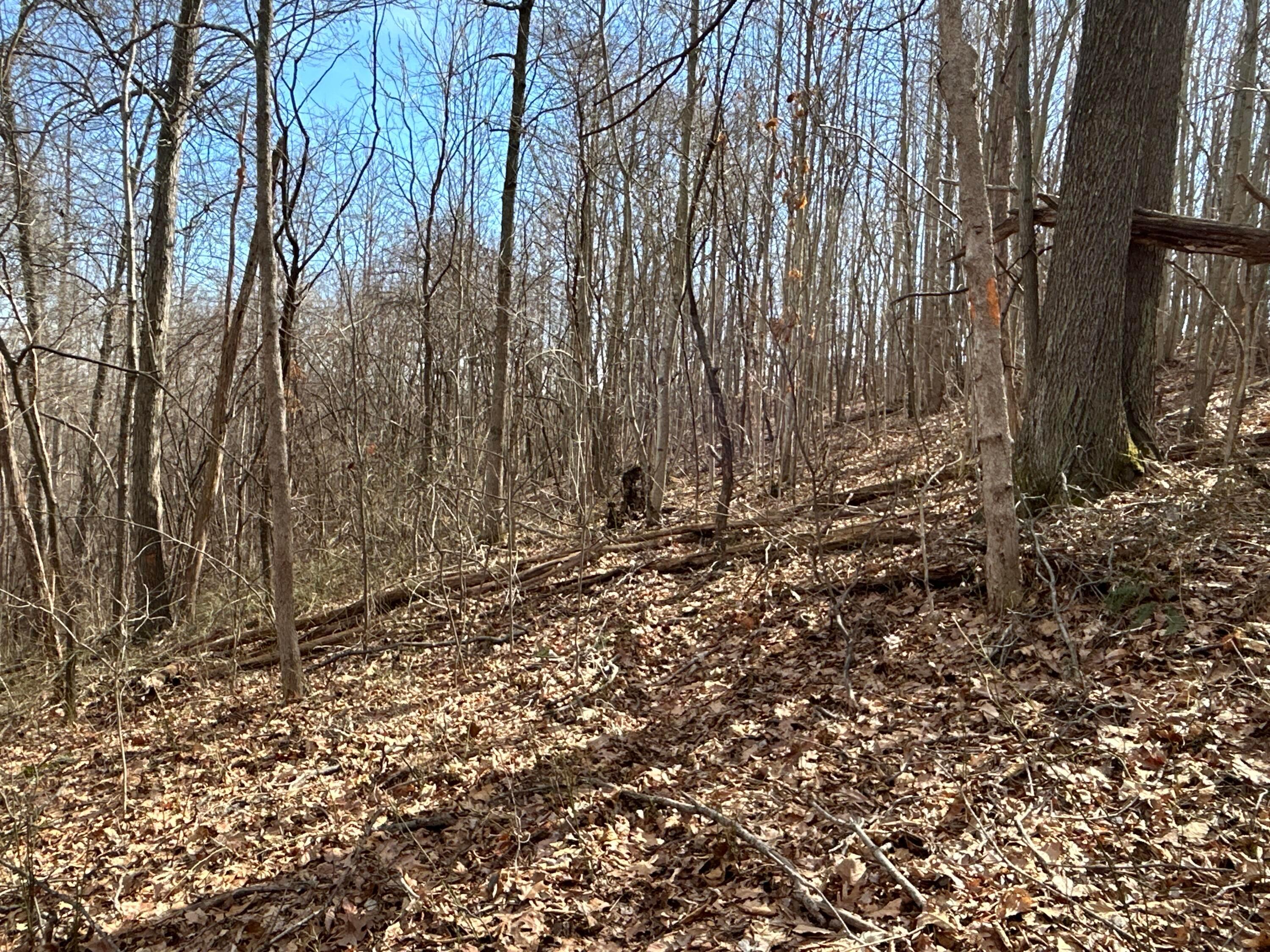 1020 Hunting Run Road, Unit C70 Lucasville, OH 45648 - Photo 12 of 48 p 12