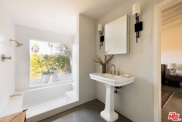 a view of a backyard with plants and trees