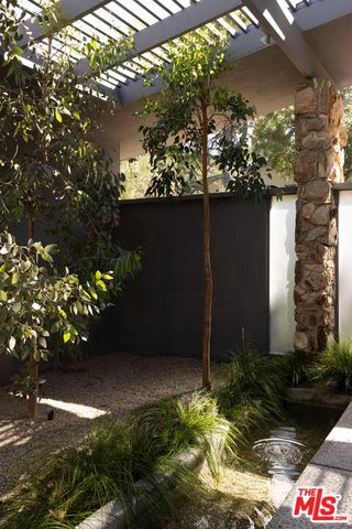 a view of a flower in a yard