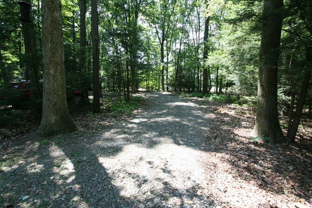 17788 Hemlock Ridge Road Broad Top City, PA 16621 - Photo 10 of 37 Driveway