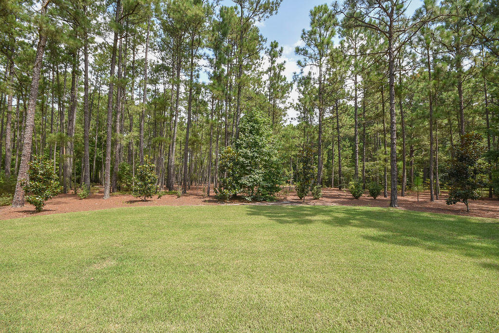 654 North Fort Bragg Road Southern Pines, NC 28387 - Photo 38 of 45 Back Lawn