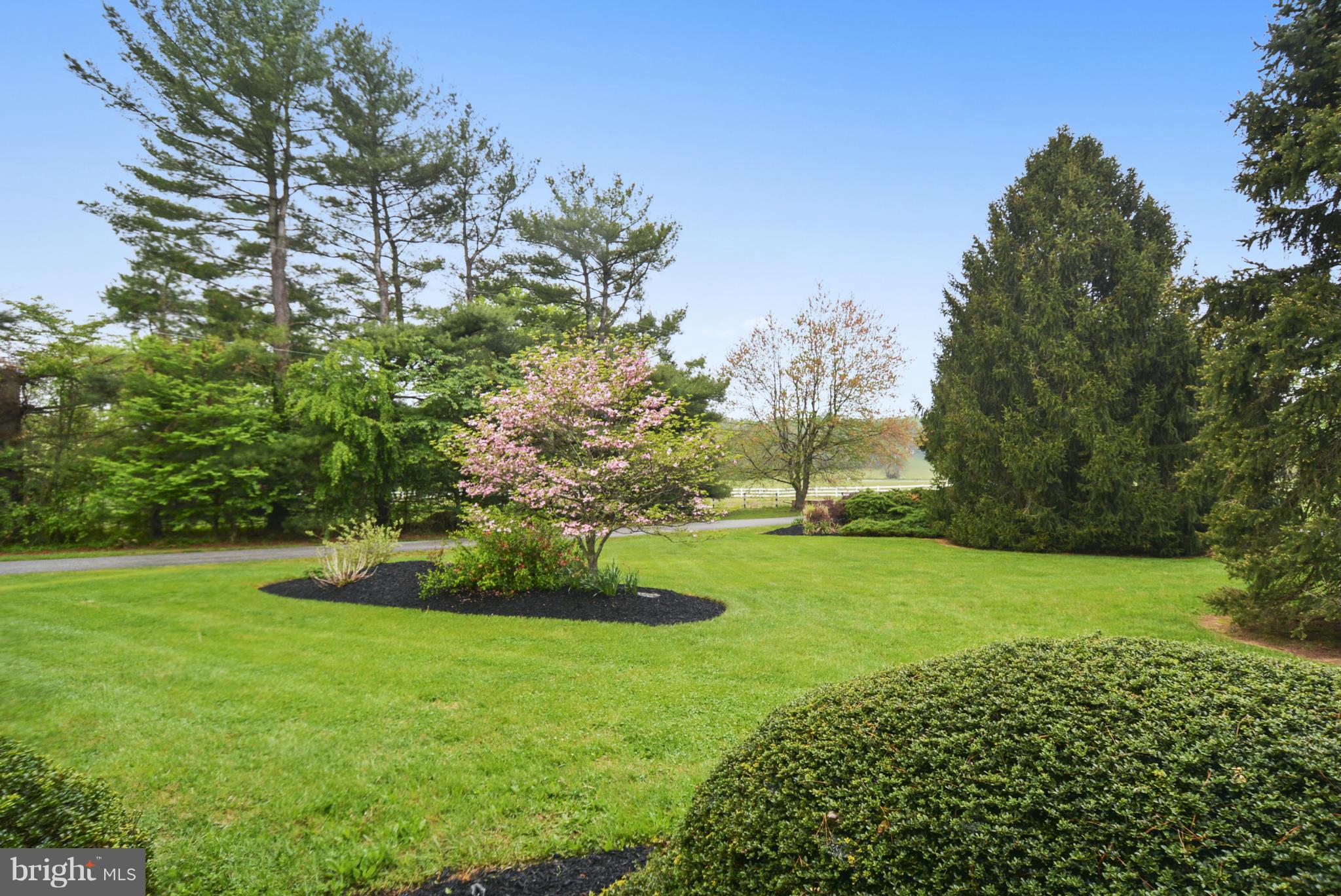 5615 Patterson Road Baldwin, MD 21013 - Photo 12 of 26 a view of a garden with a large trees