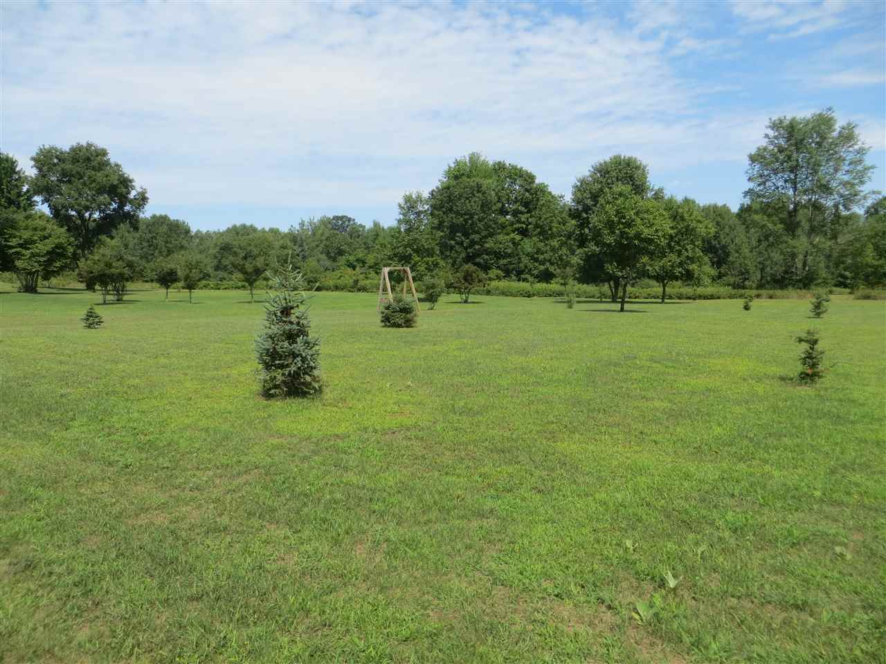 2823 Shady Shores Road Lupton, MI 48635 - Photo 55 of 63 1861627-55.JPG