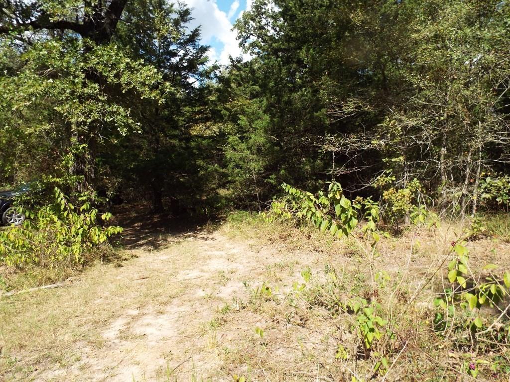 11748 River Ranch Road Kemp, TX 75143 - Photo 7 of 7 a view of a yard with trees