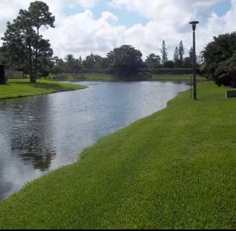 a view of a lake