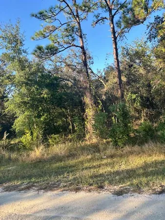 a view of a yard with a tree