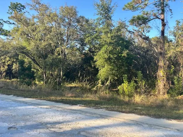 a view of a yard with a tree