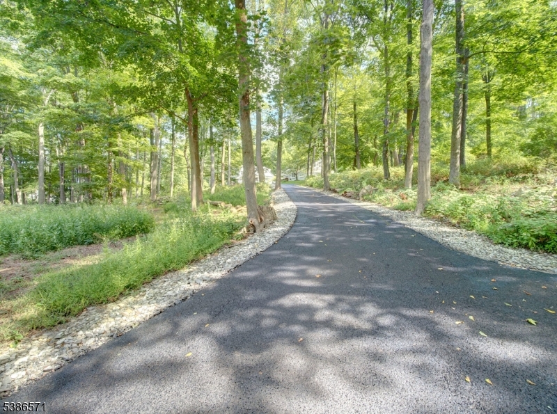 82 Roxiticus Road Far Hills, NJ 07931 - Photo 3 of 42