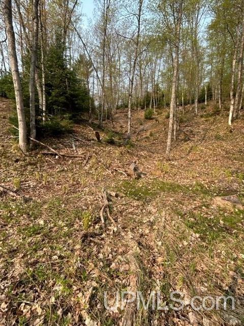 9 County Road 510 Negaunee, MI 49866 - Photo 12 of 22