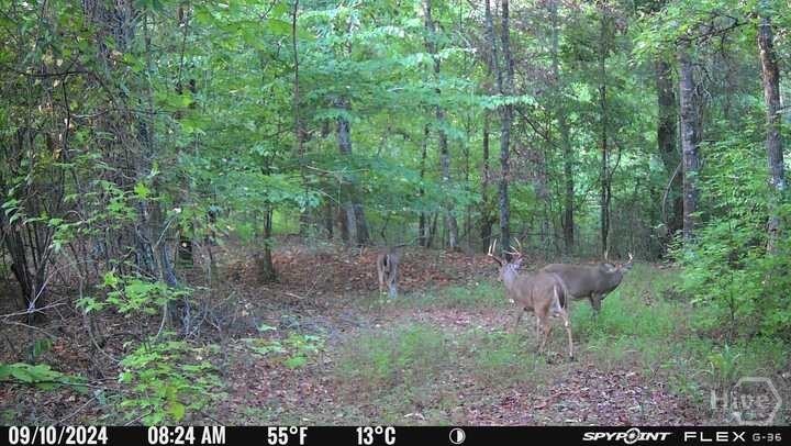 1032 Washington Road Lexington, GA 30648 - Photo 24 of 70 Gallery Image 24