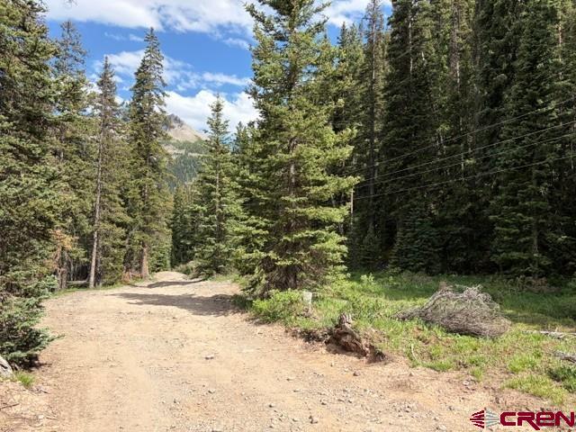 10.33-ac 10.33-ac Imogene Road Ridgway, CO 81432 - Photo 8 of 22