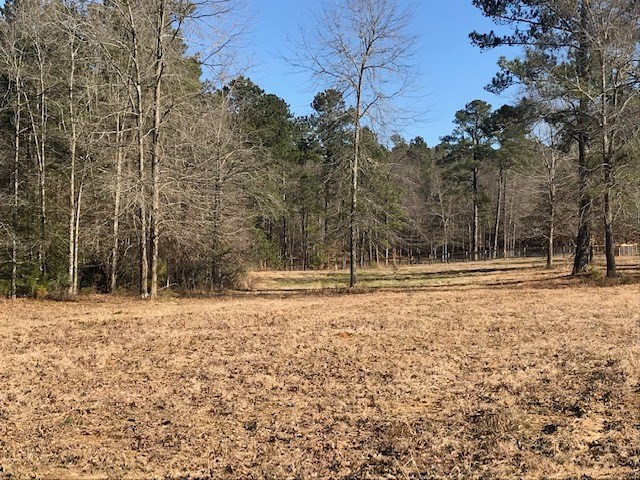 1 D Angela Road Wagener, SC 29164 - Photo 13 of 14
