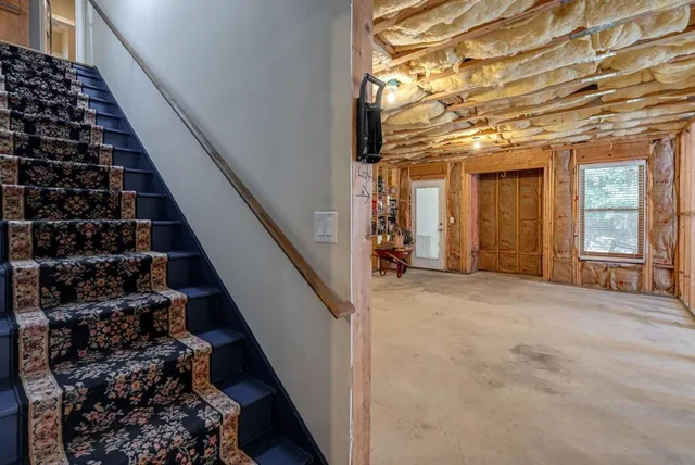a view of a backyard with a garden and plants