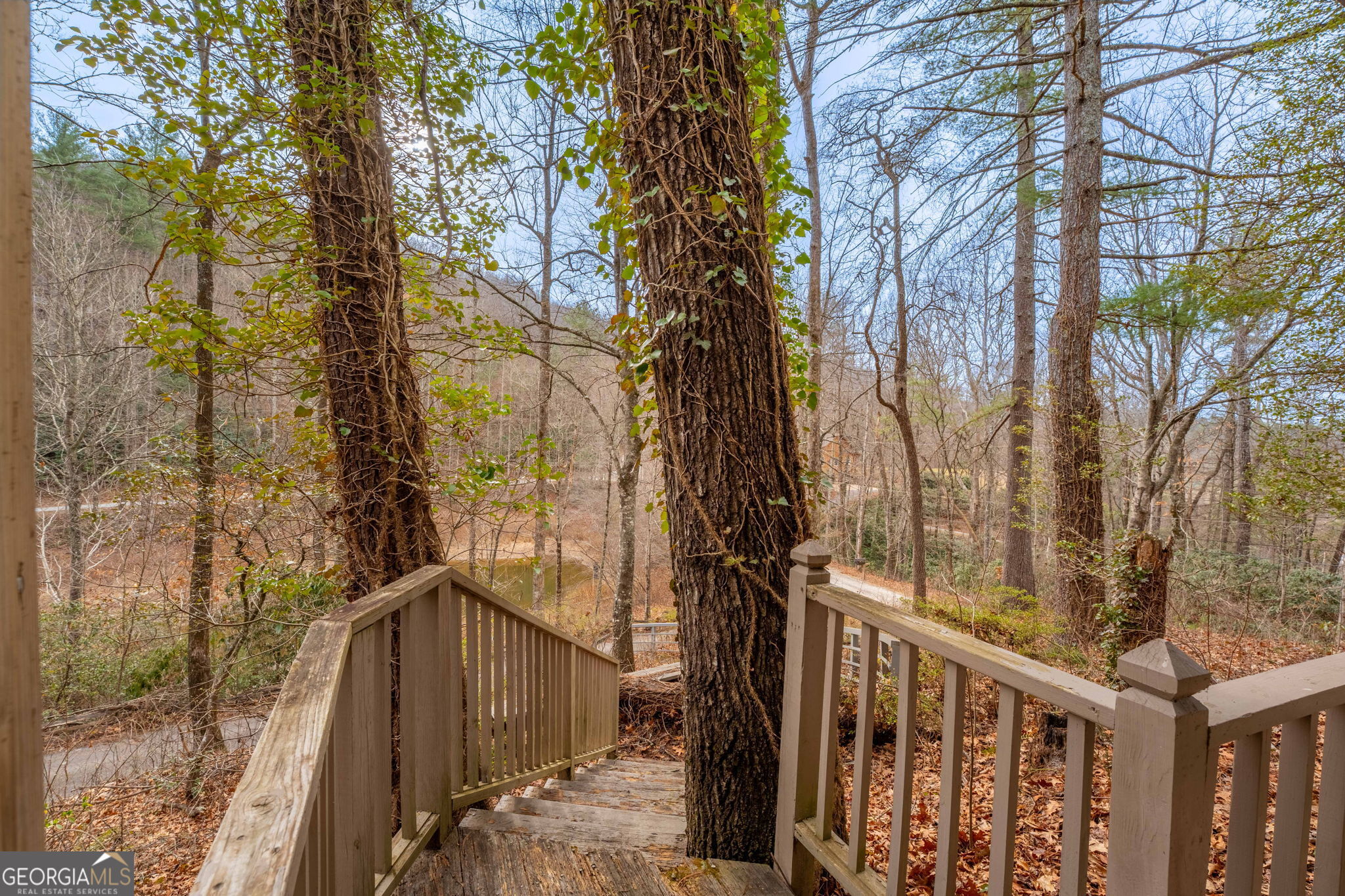159 Clare Lane Rabun Gap, GA 30568 - Photo 37 of 41 a view of a wooden fence and trees