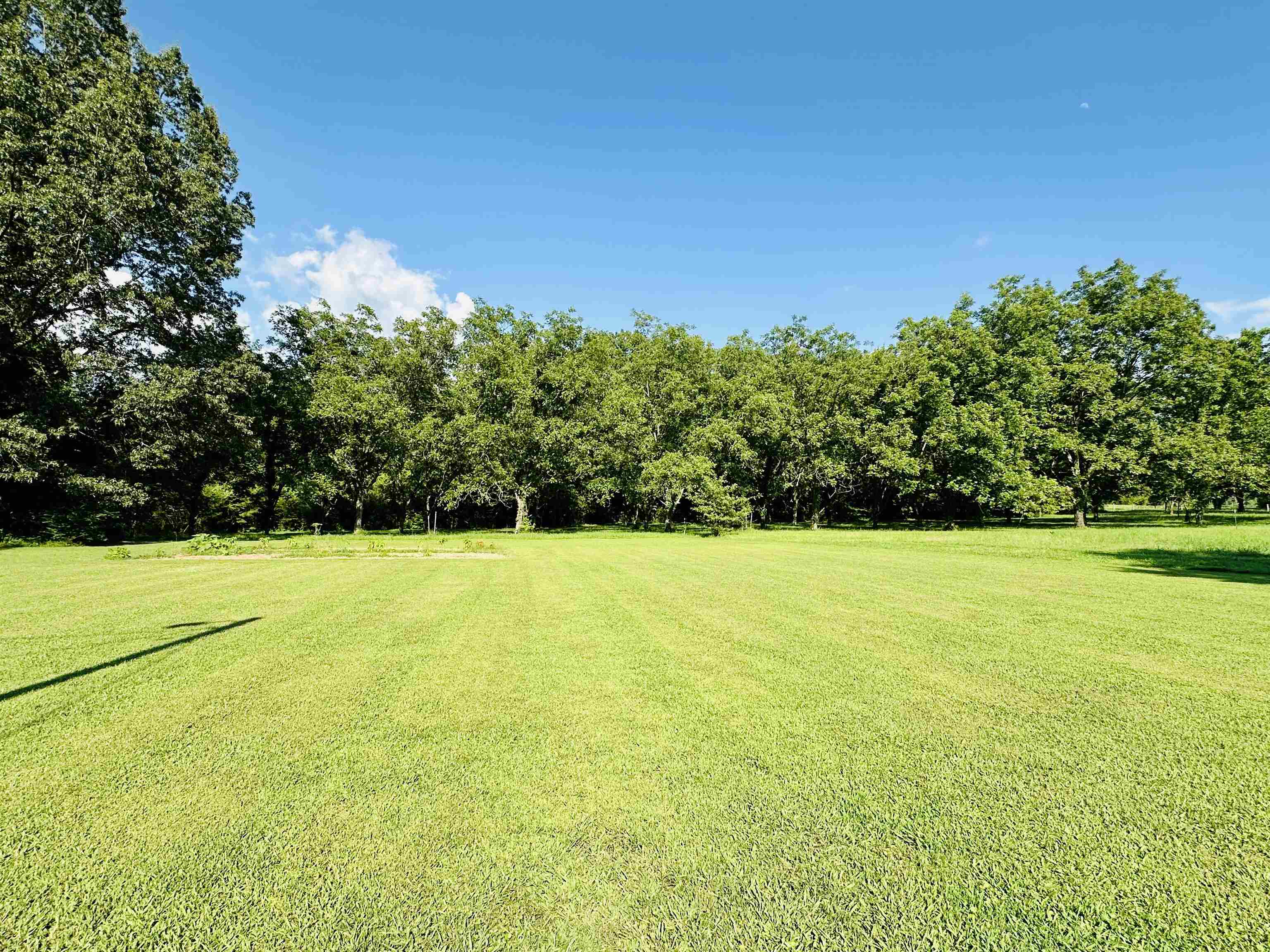 7120 Powell Chapel Road Hornsby, TN 38044 - Photo 26 of 29 a view of outdoor space and yard